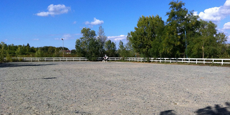 Luigi Horse Trainer